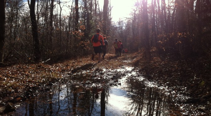 Trail-Running Camp Set for June at Harold Parker State Forest