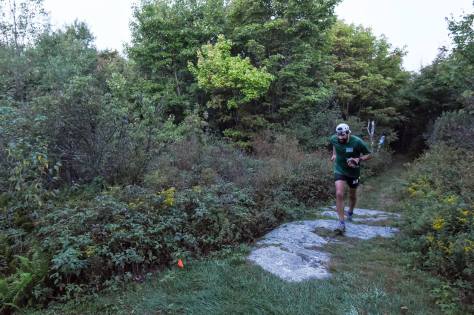 14393306_10157466563320425_1691673642_o