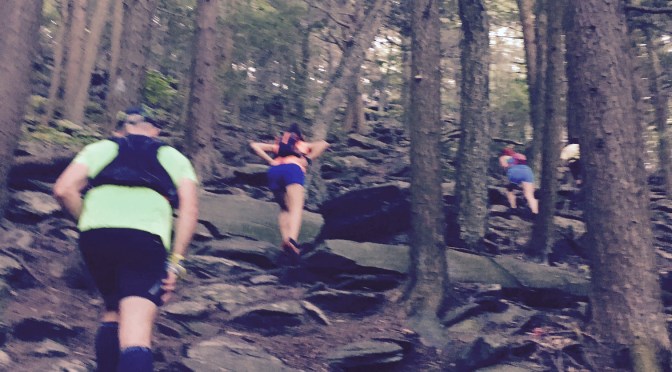 From the Editor’s Desk: The Tools to Grow