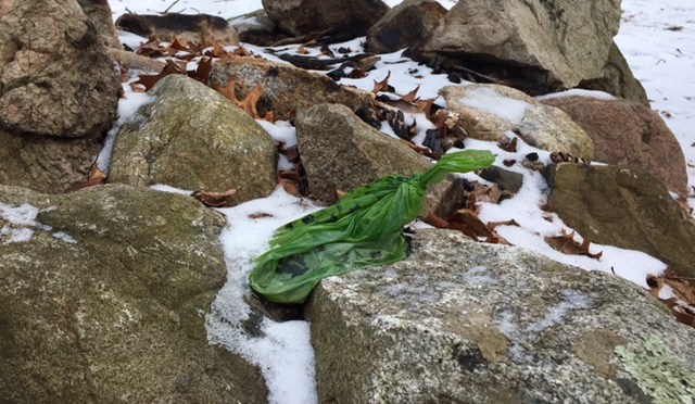 From the Editor’s Desk: In Choosing to Incite Rather than Inspire, Outside Commentary Fails the “Leave No Trace” Test