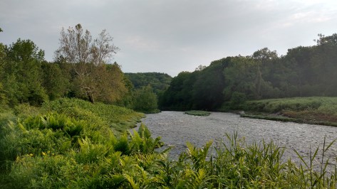 IMG_20190601_071614094_HDR