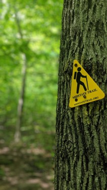 00100dPORTRAIT_00100_BURST20190601114209806_COVER