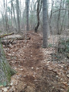 New Trai - After - March 25