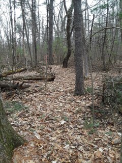 New Trail - Before